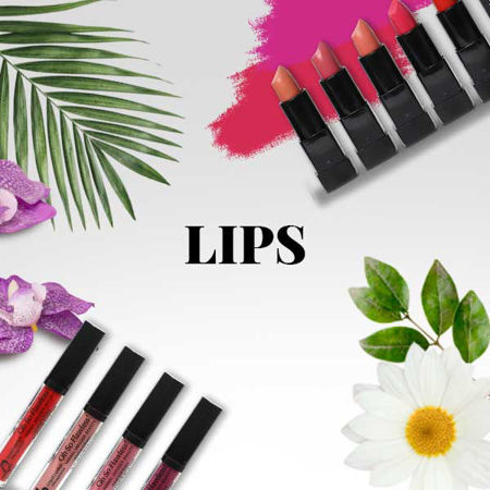 Picture for category Lips