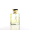 INSPIRE Perfume 100ml – Sana Mir Edition | WB by Hemani