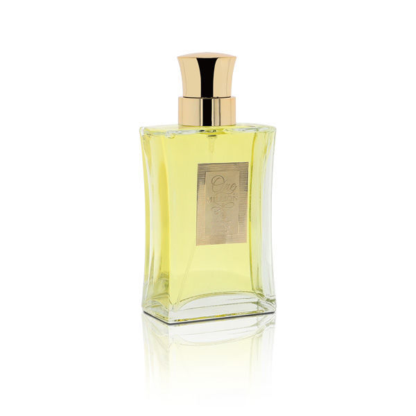 WB Stores| ONE MILLION EDT Perfume – Men | WB by Hemani
