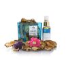 Scented Wonders Potpourri Diffuser - Oceanic 