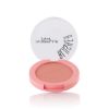 Isabelle Dupont Blusher - B01	