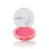 Isabelle Dupont Blusher - B02	