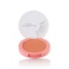 Isabelle Dupont Blusher - B11	