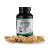 Dr Herbalist Lion's Mane Extract Powder Capsule 500mg	